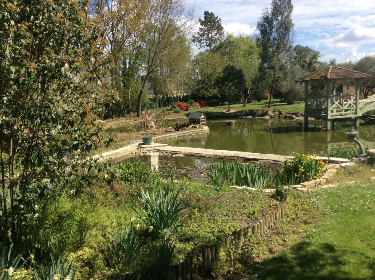 Gite Le Bois De Montpouillan มาร์ม็องด์ ภายนอก รูปภาพ